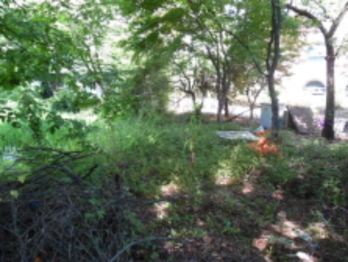 목록2.(지목 답) 전경(1)