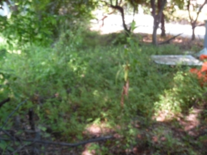 목록2.(지목 답) 전경(2)