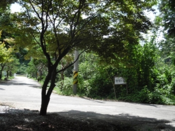 목록12.(지목 전) 전경(1)