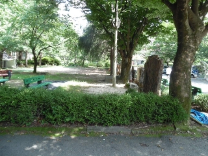 목록21.(지목 임야) 전경(2)