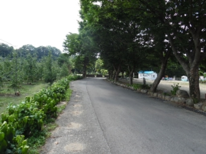 목록35.(지목  답) 전경(1)