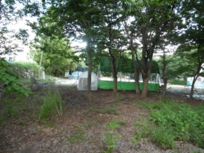 목록36.(지목 대) 전경(1)