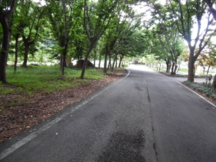 목록17.(지목 임야) 전경(2)