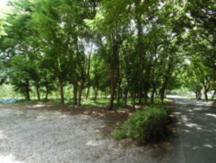 목록14.(지목 임야) 전경(1)