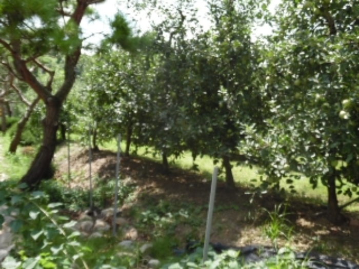 목록12.(지목 전) 전경(2)