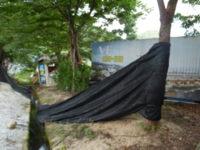 목록13.(지목 전) 전경(3)