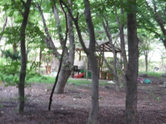 목록18.(지목 임야) 전경(2)