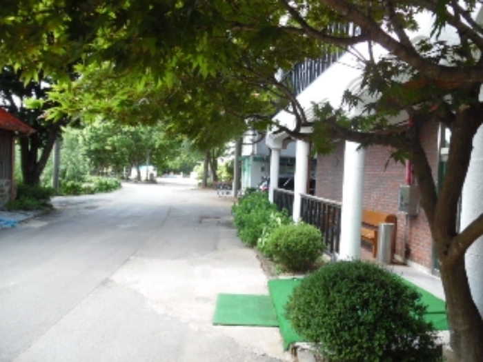 목록26.(지목 도로) 전경(1)