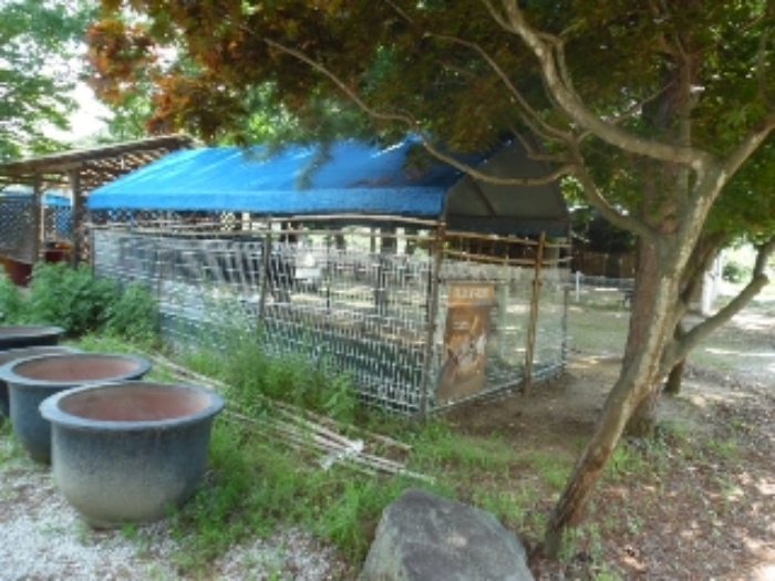 목록55.(지목 전) 전경(3)