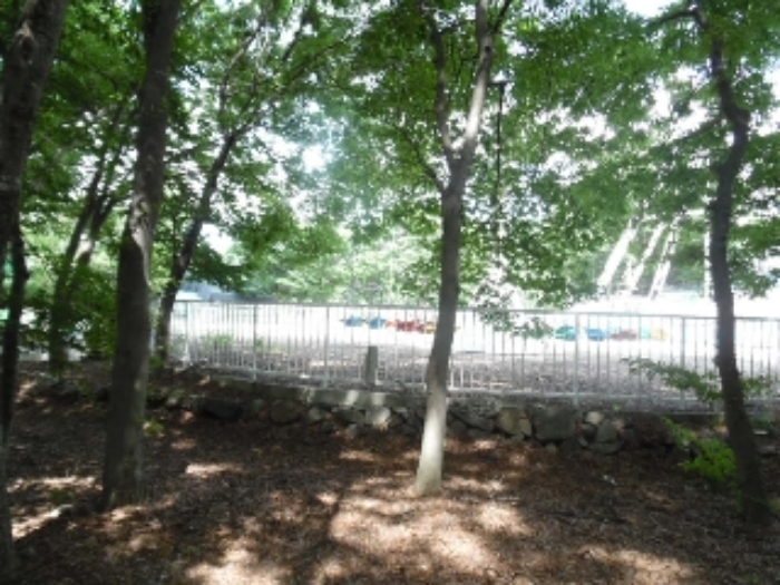 목록20.(지목 대지) 전경(2)