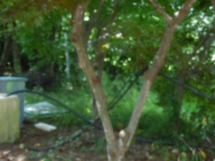 목록2.(지목 답) 전경(3)