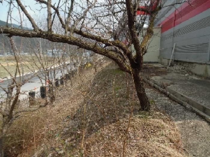 목록1. 2. 토지(공장용지) 및 목록3. 4. 공장 및 건물 전경(13)