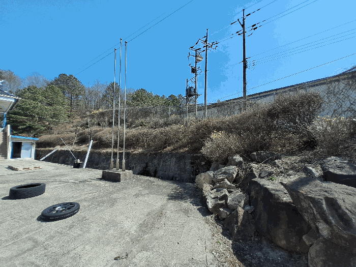 수목(토지에 포함평가)