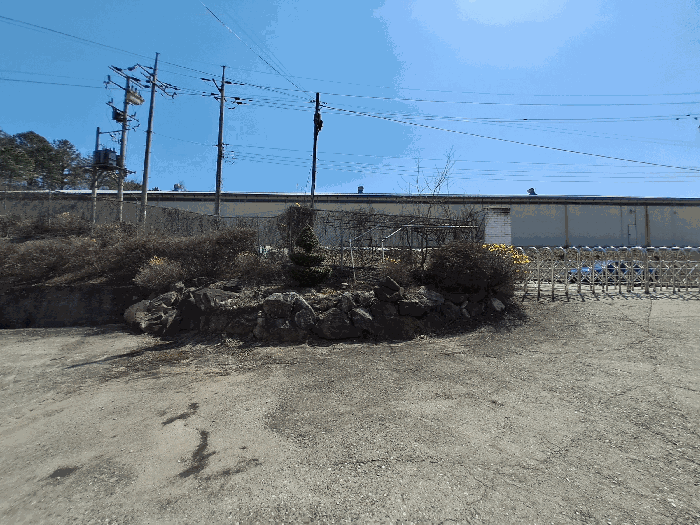 수목(토지에 포함평가)