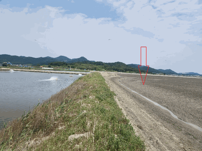 기호(1,2) 토지 일부 및 기호(3) 토지 - 현황 갯벌