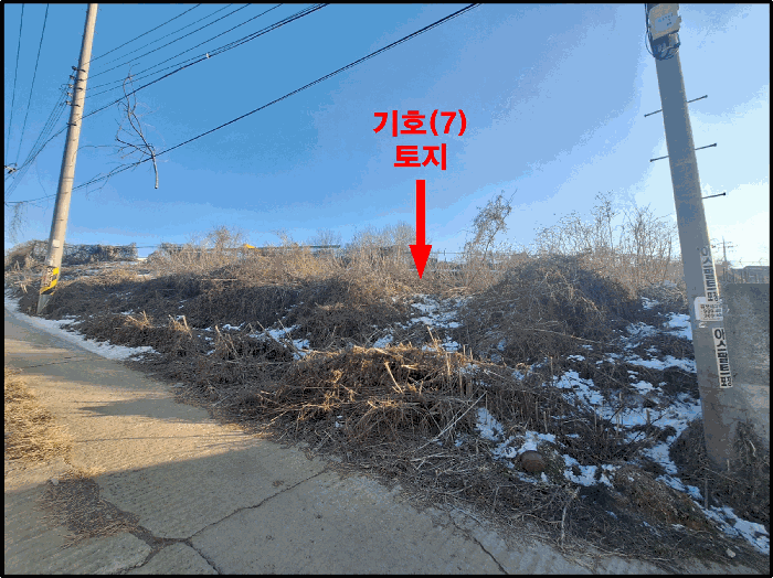 [ 기호(7) 토지(미조성된 토지임야 부분) 전경 ]