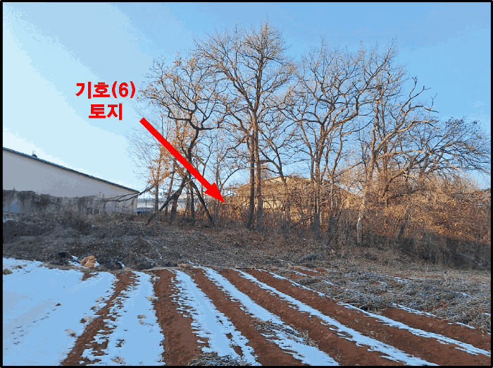 [ 기호(6) 토지 전경 ]