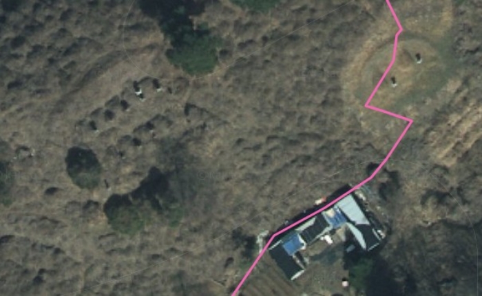 카카오지도상 분