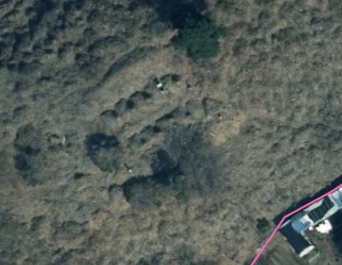 카카오지도상 본