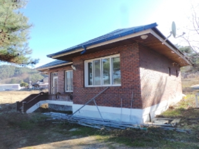 기호 1번 근거리에서 촬영한 것임