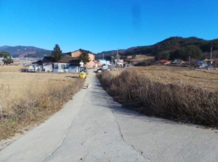 기호 2번 근거리에서 촬영한 것임