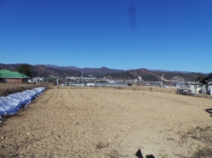 기호 2번 근거리에서 촬영한 것임