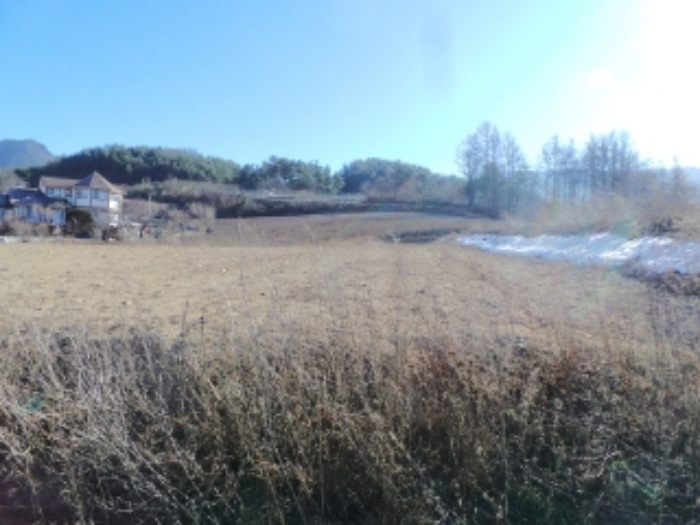 기호 2번 근거리에서 촬영한 것임