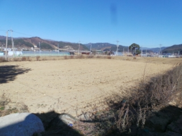 기호 2번 근거리에서 촬영한 것임