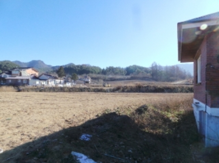 기호 2번 근거리에서 촬영한 것임