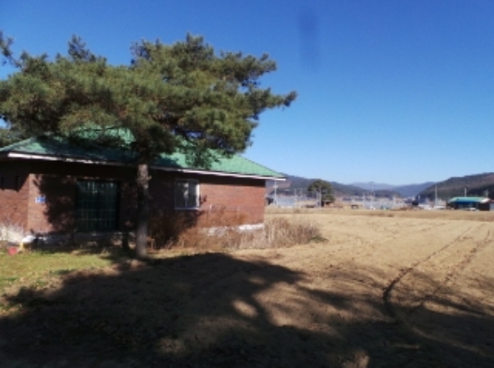 기호 2번 근거리에서 촬영한 것임