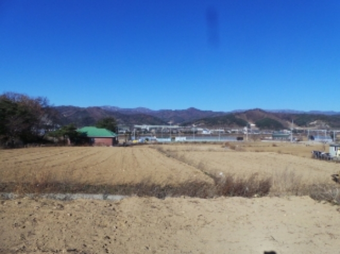 기호 2번 근거리에서 촬영한 것임