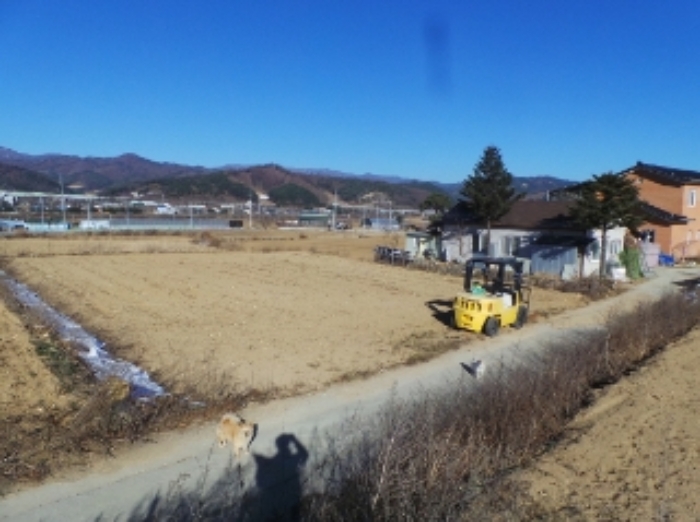 기호 2번 근거리에서 촬영한 것임