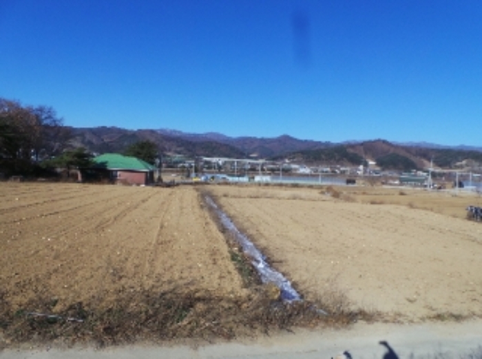 기호 2번 근거리에서 촬영한 것임