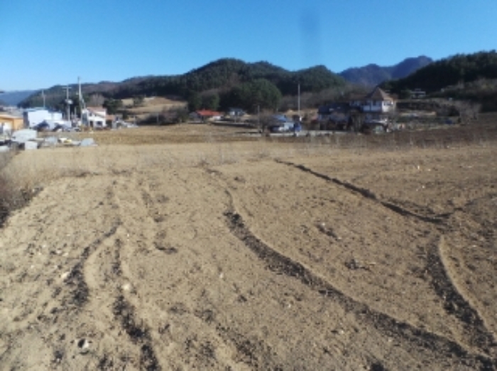 기호 2번 근거리에서 촬영한 것임