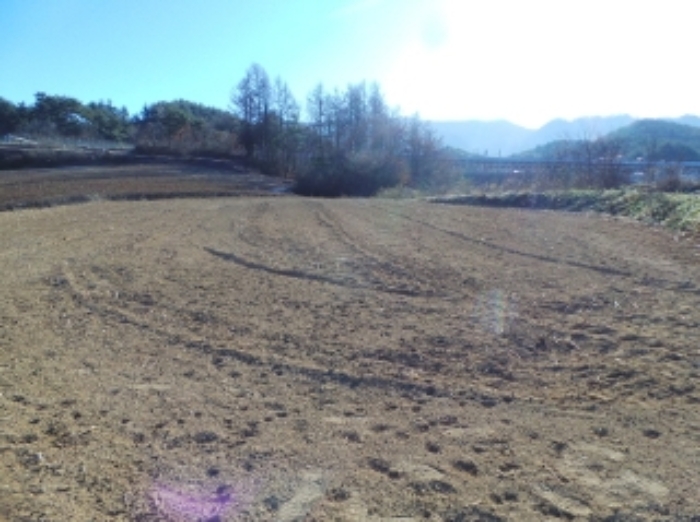 기호 2번 근거리에서 촬영한 것임