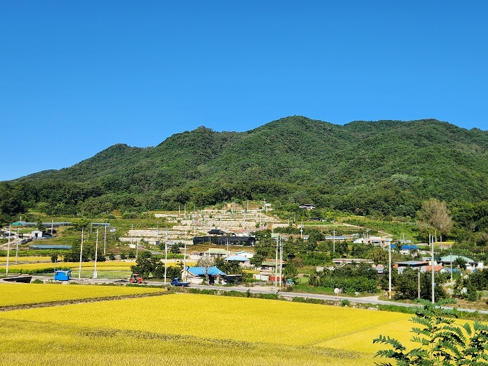 본건 원경
