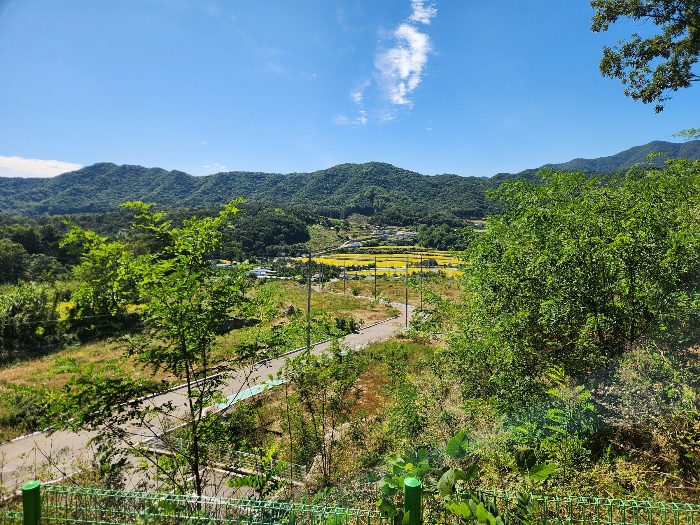 본건 전경