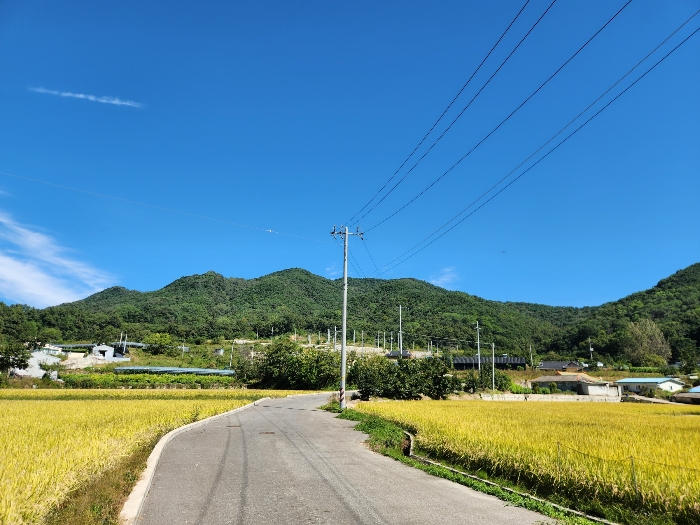 본건 전경