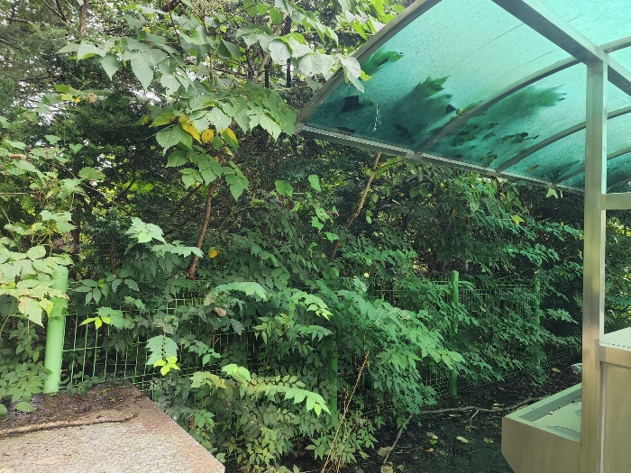 기호(5)토지 전경