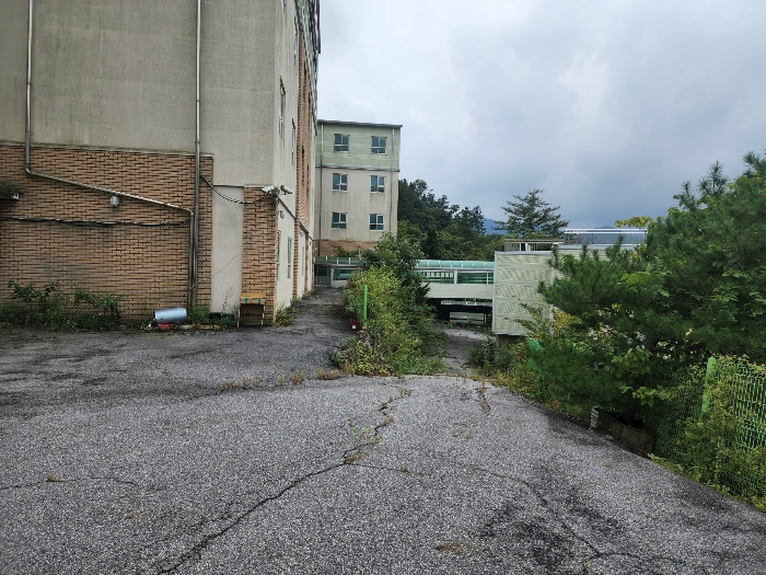 기호(6)토지 전경