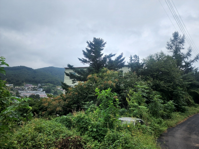 기호(5)토지 전경