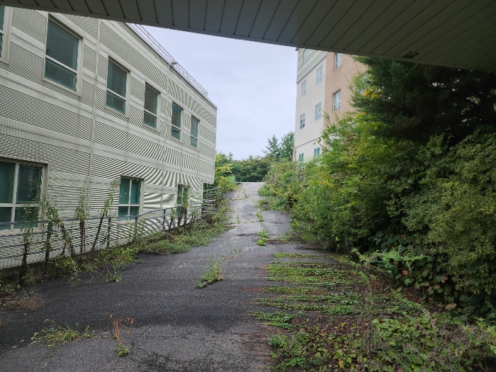 기호(6)토지 전경