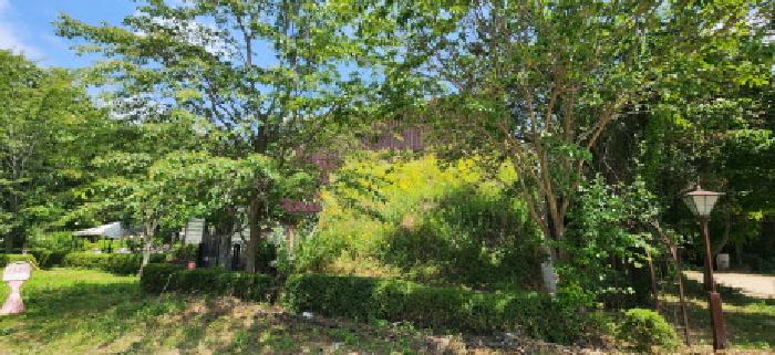 목록1. 및 목록2.후면