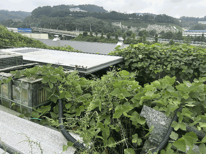 제시외구축물ⓐ