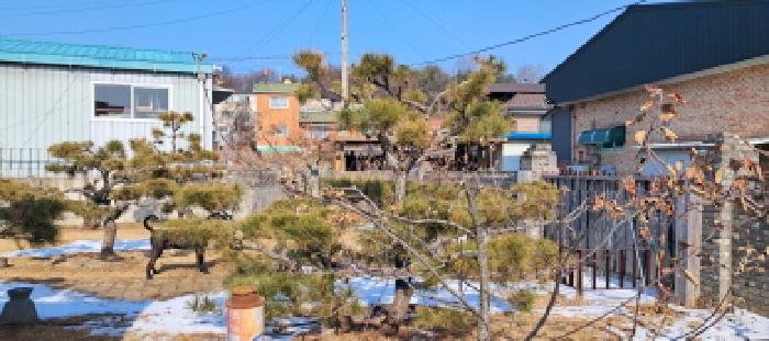 목록4의 `대` 전경