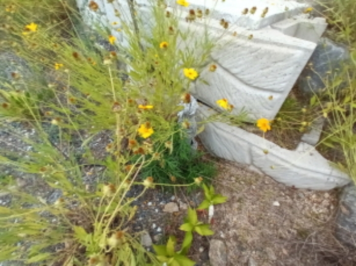 목록8번 야외수도시설 모습