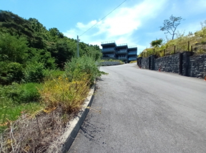 목록80번 북쪽도로부근 모습