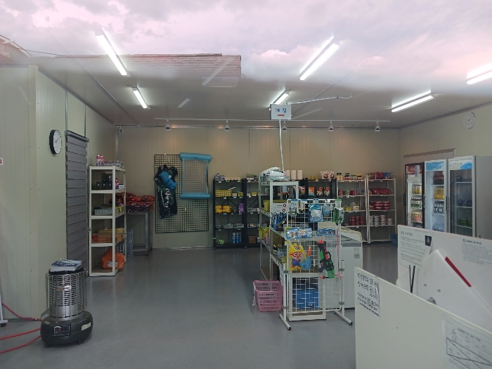 기호(13) 내부 근경