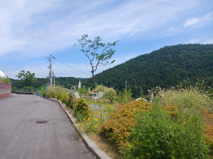 기호(9) 남동측 부분 근경