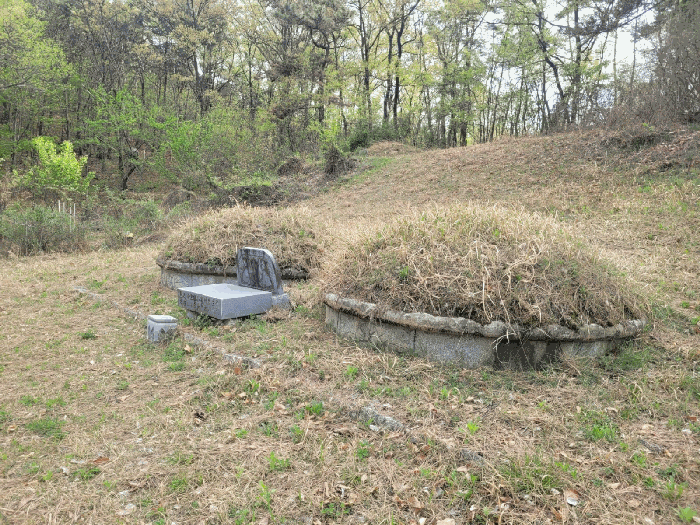 토지 2) 지상 분묘